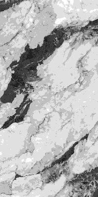 EDSM918D801-挪威森林