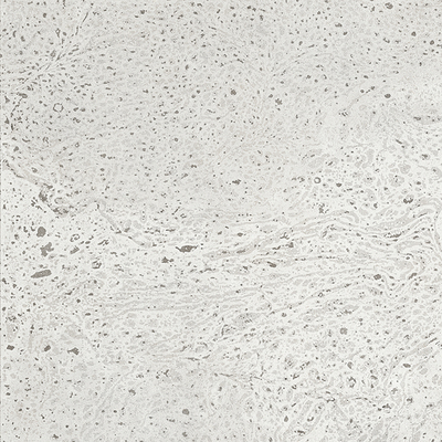 EDF6171-罗马假日（灰）