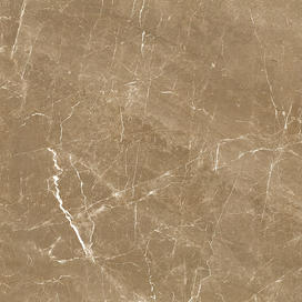 EDSMT88503-艾米拉