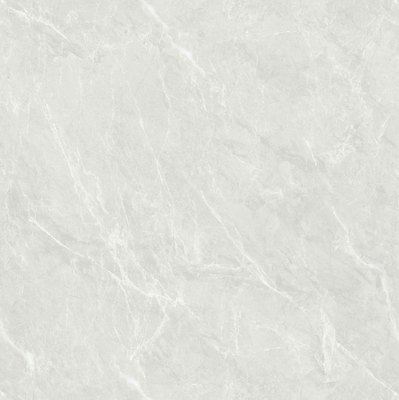 ED88118-高迪米灰