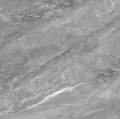 EDSM88312-卡西欧灰