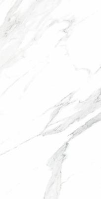 EDSM126308-鱼肚白