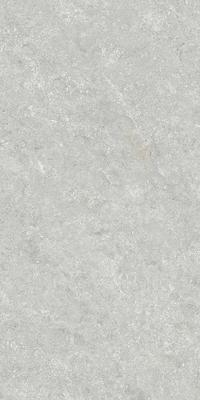 EDSM126309-北极灰