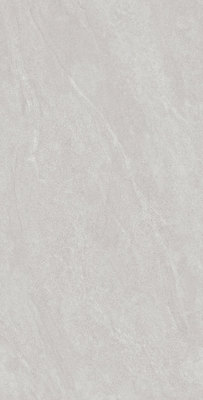 ED126003-印迹砂岩