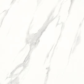 EDSMT88301-鱼肚白